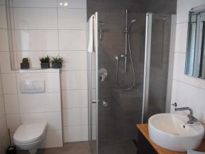 a bathroom with a shower and a toilet and a sink at Ferienwohnung naehe Freiburg FeWo in Holzhausen