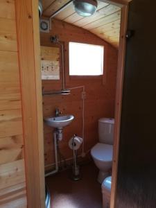 a bathroom with a toilet and a sink in a log cabin at Imantas nams in Jūrkalne