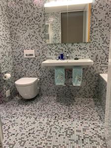 蘇黎世的住宿－Luxury Penthouse Zurich，一间带水槽和卫生间的浴室