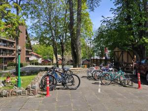 un gruppo di biciclette parcheggiate in un parcheggio di First Hotel's apartment a Juodkrantė