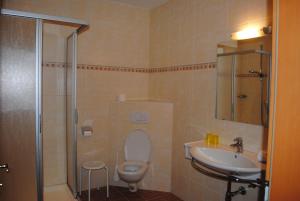 a bathroom with a toilet and a sink and a shower at Gasthof Knappenwirt in Tamsweg