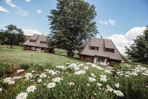 two cottages in a field of flowers at Valley Lakes CHALETS in Underberg