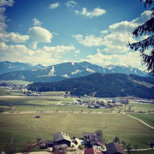 einen Blick auf ein Feld mit Bergen im Hintergrund in der Unterkunft Bauernhof Unterbichl in Flachau