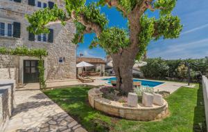 a villa with a tree and a swimming pool at Beautiful Stone House - Villa Parentium with Private Pool in Dračevac