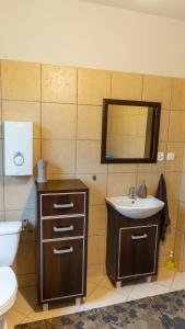 a bathroom with a sink and a toilet and a mirror at Dom Wakacyjny Myśliborka in Nowe Warpno
