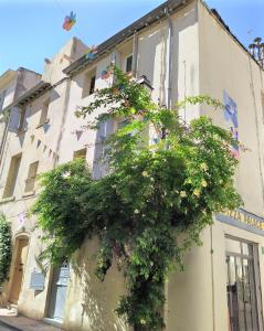 a building with a plant on the side of it at le balcon de Saint Roch in Montpellier