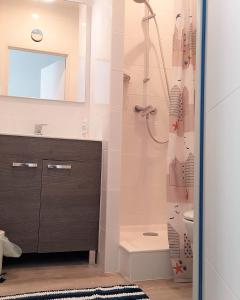 a bathroom with a shower and a sink at le balcon de Saint Roch in Montpellier