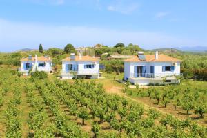 a row of houses in a vineyard at Stamna Farm in Romanós