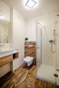 a bathroom with a shower and a toilet and a sink at Targowa37 Uniejow in Uniejow +60 photos