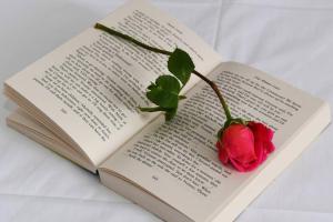 a book with a red rose on the pages at Sun oneiro in Kavála