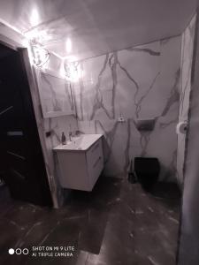a bathroom with a sink and a toilet at Apartament Aurelia in Świnoujście