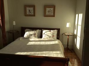 a bedroom with a bed with pillows and two lamps at Quinta do Fôjo in Lamego