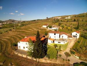 an aerial view of a house in a vineyard at Quinta do Fôjo in Lamego