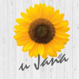 a yellow sunflower on a white table with the word marrow at U Jana in Przemyśl