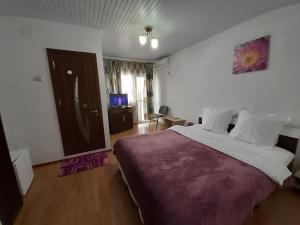 Postel nebo postele na pokoji v ubytování Vila Albatros