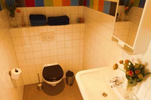 baño con aseo negro y lavamanos en Tulpenhuys en Hoogmade