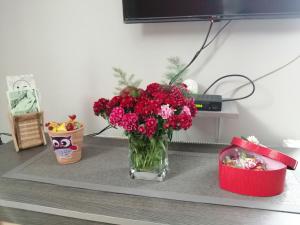 TV a/nebo společenská místnost v ubytování Apartman Red wall
