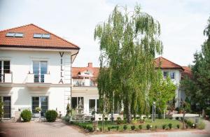 ein Baum vor einem weißen Haus in der Unterkunft Hotel Villa Hubertus Kutno in Kutno