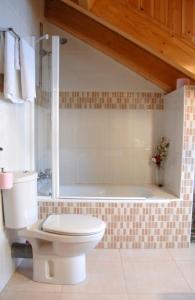 La salle de bains est pourvue de toilettes et d'une baignoire. dans l'établissement Casa Rural Casa Colom, à Espot