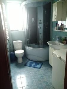 a bathroom with a shower and a toilet and a sink at Під лісом у гіда in Yaremche