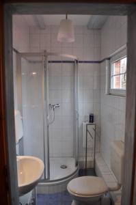 a bathroom with a shower and a toilet and a sink at Galerie ebe in Parchim +12 photos