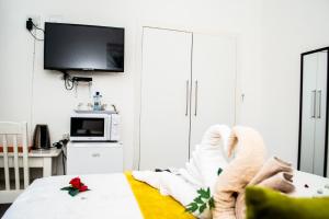 a room with a bed with a tv and a microwave at Sinesan Guesthouse in Vereeniging