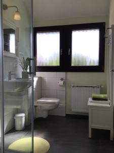 ein Badezimmer mit einem WC und einem Waschbecken sowie zwei Fenster in der Unterkunft Haus Rheinsteig in Unkel