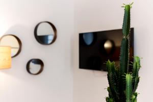 un cactus su un muro accanto a uno specchio di L'Ethnic Ambience - Superbe appartement tout confort au coeur du Vieux Lyon a Lione