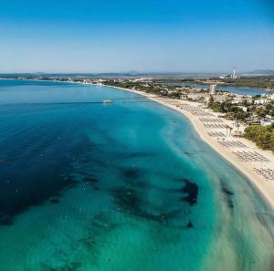 an aerial view of a beach and the ocean at Samsara Beach in Port d'Alcudia