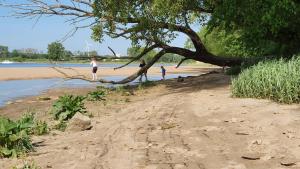 three people standing on the beach under a tree at Haus Anna Elbe, Bauernhaus-Ferienwohnungen an der Elbe in Hamburg