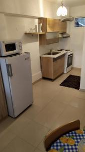 a kitchen with a white refrigerator and a microwave at Celia`s Studio in Nea Peramos +8 photos