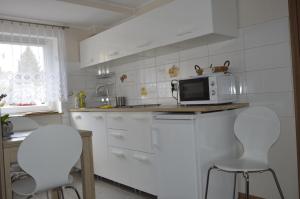 Kuchyň nebo kuchyňský kout v ubytování Apartamenty i pokoje u Kryni