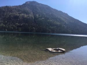 Paesaggio naturale nelle vicinanze dell'appartamento