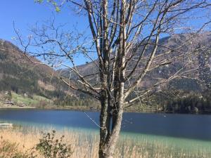 Paesaggio naturale nelle vicinanze dell'appartamento