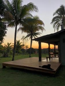 un perro tirado en una terraza de madera con palmeras en Fazenda Vista do Mar, en Serra Grande