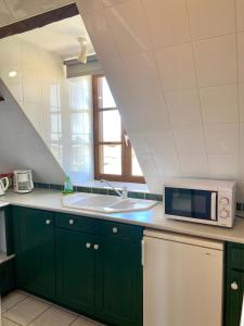cocina con armarios verdes y microondas en Studio Le Gachet en Pouligny-Notre-Dame