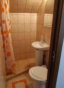 a small bathroom with a toilet and a sink at Pensiunea Răzvan in Gura Râului