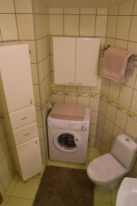 uma pequena casa de banho com WC e máquina de lavar roupa em Zielony domek em Bielsko-Biala