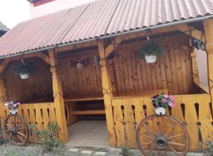a wooden gazebo with two potted plants on it at Pensiunea Răzvan in Gura Râului +19 photos