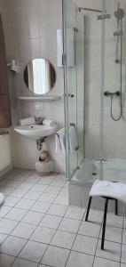 a bathroom with a shower and a toilet and a sink at Landgasthof Graf Karstädt in Karstädt