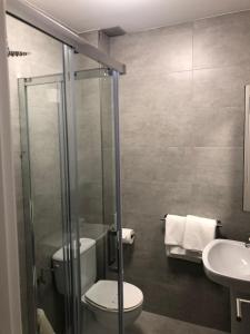 a bathroom with a shower and a toilet and a sink at Pension Antonio in Louro