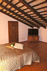 TV a/nebo společenská místnost v ubytování Agriturismo Ronchi Di Sant'Egidio