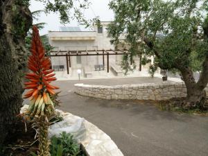 a plant in the foreground with a building in the background at Bed & Breakfast La Collinetta in Locorotondo