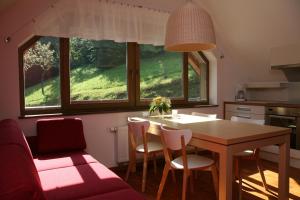Kuchyň nebo kuchyňský kout v ubytování Apartments Cvetje v Jeseni + 25 fotografií
