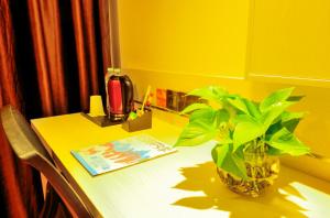 Shihezi的住宿－7天优品石河子开发区店【高端经济型酒店】，黄色桌子,上面有花瓶和植物