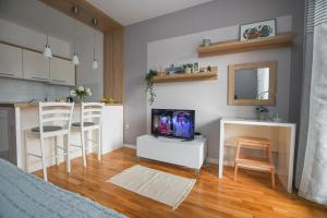 En TV eller et underholdningssystem på Apartment Plaža