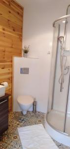 a bathroom with a shower and a toilet and a sink at Willa na Wilcznik in Zakopane