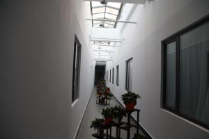 a hallway with potted plants in a building at 7Days Premium Harbin Xuefu Road Branch in Harbin