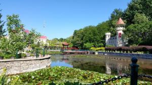 秦皇島的住宿－7天优品·北戴河鸽子窝公园店，花园中的池塘,后面是一座建筑