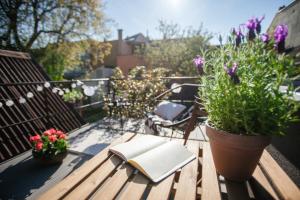 Zahrada ubytování Great Chill Boutique Apartments #11 by Goodnite cz